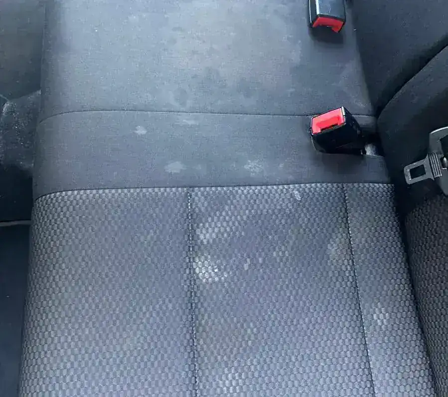 Autostoel Reiniging voor 3